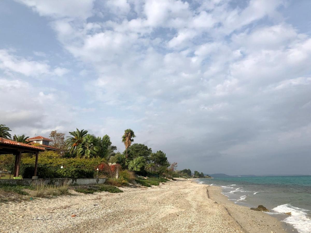 On The Beach Apartment Polychrono Dış mekan fotoğraf